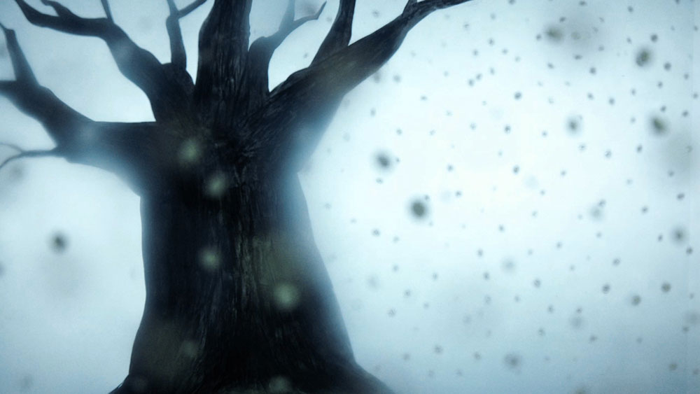 フィルムの１コマ